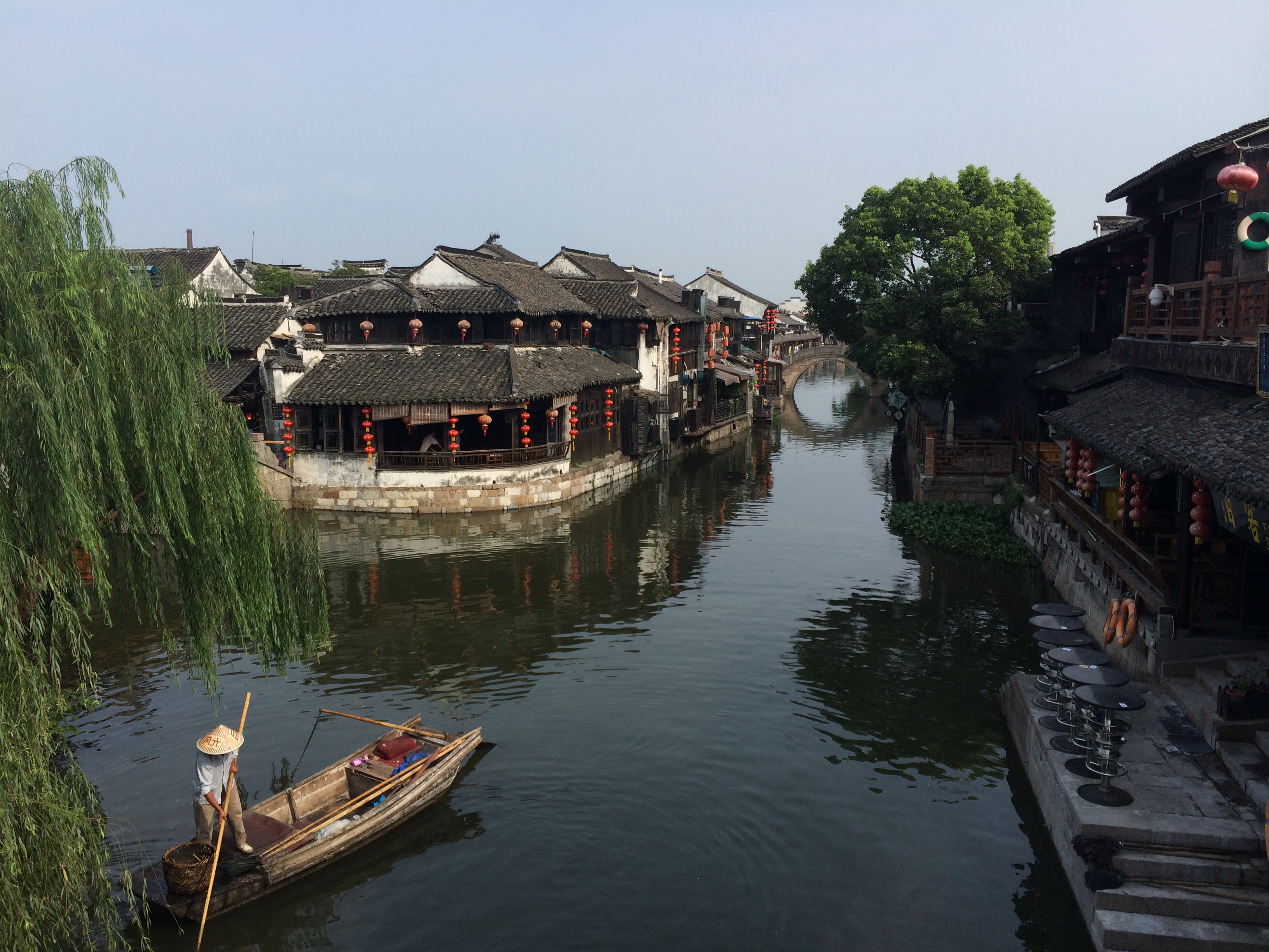 摄影  《夏日水乡》 作者：金百博冷链 董兴.JPG
